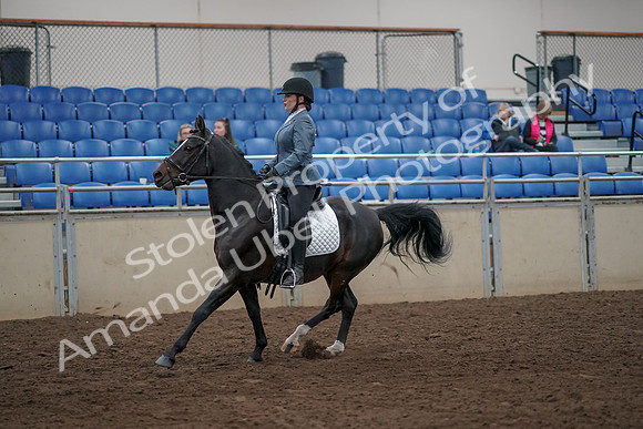 2019 Morgan Horse Show - Aug 31, 2019 - 07310