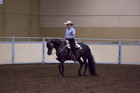 Class 120 - Morgan Western Pleasure, Open