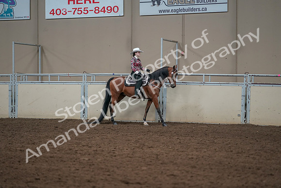 2019 Morgan Horse Show - Aug 30, 2019 - 26146