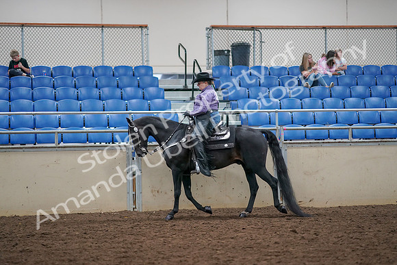 2019 Morgan Horse Show - Aug 30, 2019 - 16737