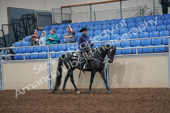 2020 - AB Morgan Horse - Sun, Sept 06 - 07527