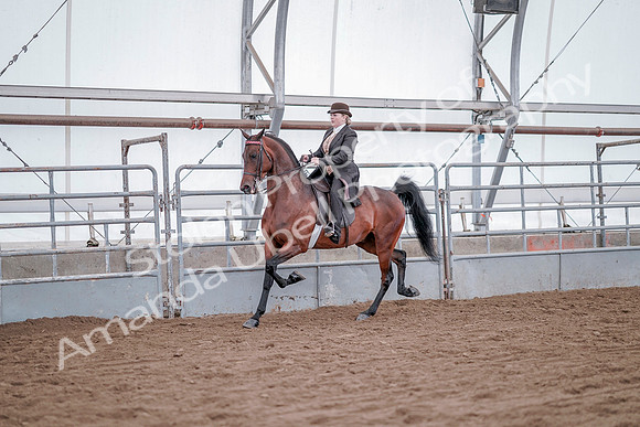 July 20, 2019 - 13781