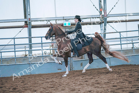 July 20, 2019 - 24154