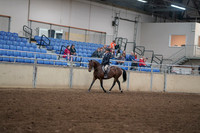 2019 Morgan Horse Show - Aug 30, 2019 - 12652
