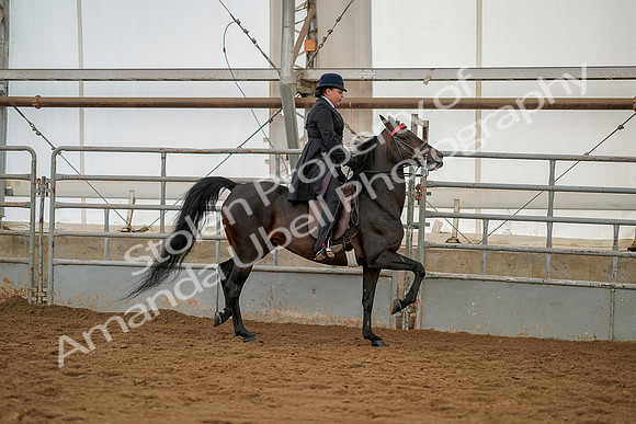 July 20, 2019 - 04511