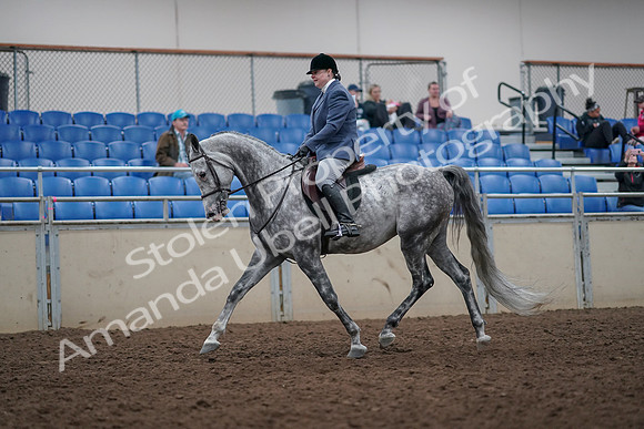 2019 Morgan Horse Show - Aug 31, 2019 - 14881