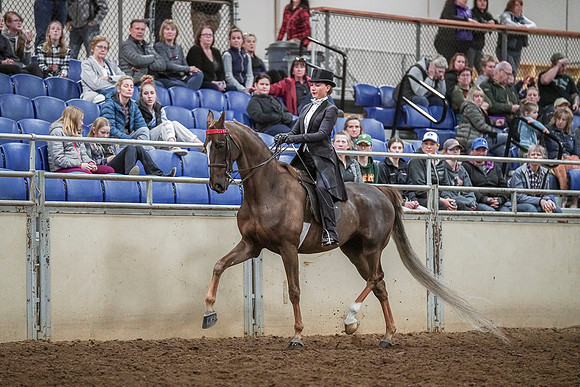 Spring Fling - Saturday - April 20, 2019  -  04356