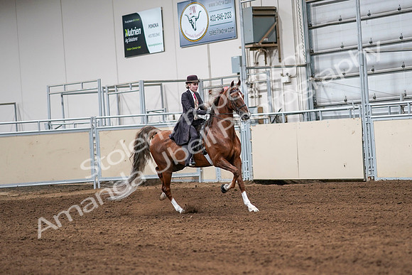 2020 - AB Morgan Horse - Sat, Sept 05 - 06418