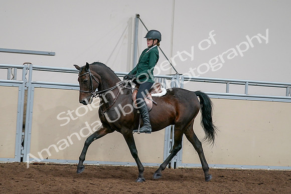 2020 - AB Morgan Horse - Sat, Sept 05 - 05047