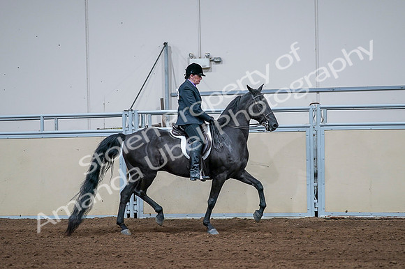 2020 - AB Morgan Horse - Fri, Sept 04 - 01824