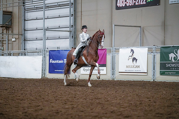 Spring Fling - Saturday - April 20, 2019  -  00535