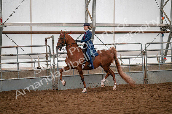 July 19, 2019 - 10223