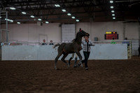 2019 Morgan Horse Show - Aug 31, 2019 - 03555