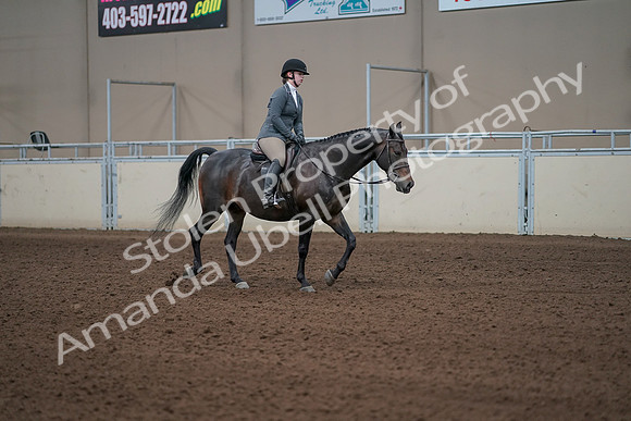 2019 Morgan Horse Show - Sept 01, 2019 - 11078
