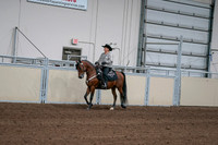 2020 - AB Morgan Horse - Fri, Sept 04 - 05707