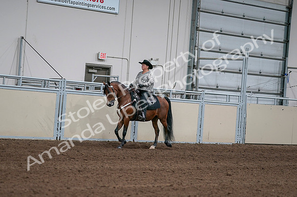 2020 - AB Morgan Horse - Fri, Sept 04 - 05707