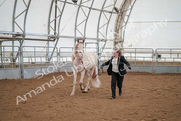 July 19, 2019 - 1126