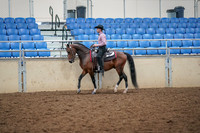 2019 Morgan Horse Show - Aug 30, 2019 - 22696