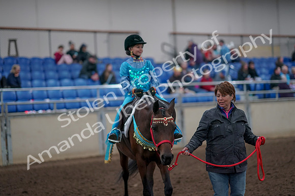 2019 Morgan Horse Show - Aug 31, 2019 - 09953