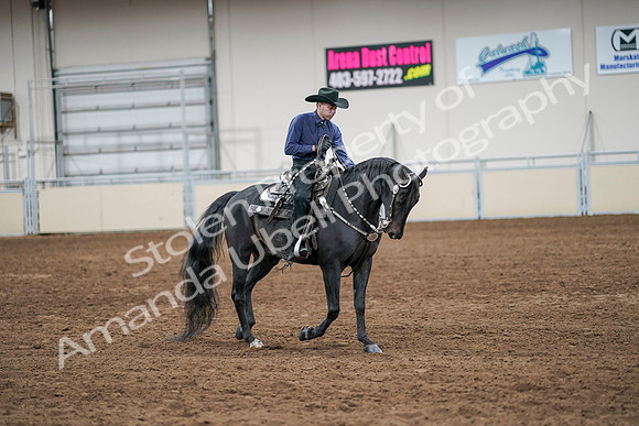 2020 - AB Morgan Horse - Sun, Sept 06 - 07624