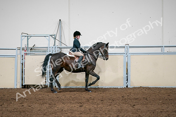 2020 - AB Morgan Horse - Sun, Sept 06 - 07971