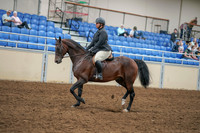 2020 - AB Morgan Horse - Sat, Sept 05 - 09315