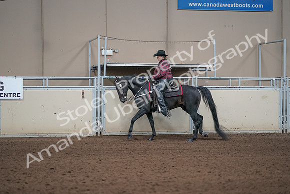 2019 Morgan Horse Show - Aug 31, 2019 - 10607