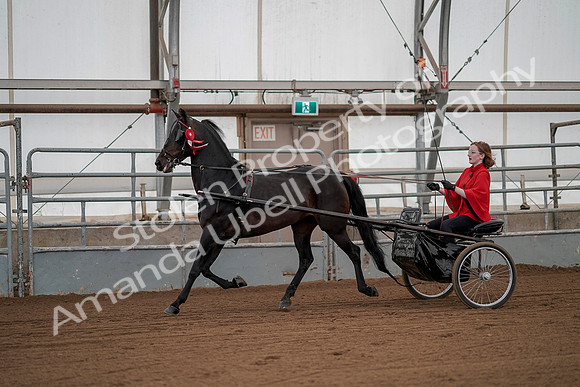 July 20, 2019 - 00314