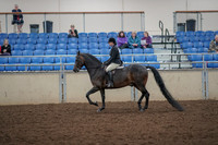 2019 Morgan Horse Show - Aug 30, 2019 - 27195