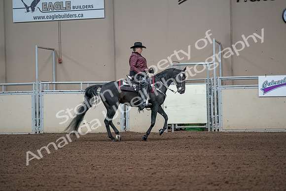 2019 Morgan Horse Show - Aug 31, 2019 - 10727