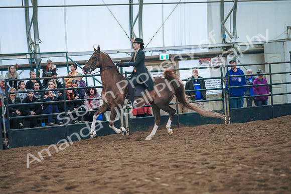 July 20, 2019 - 24080