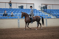 2019 Morgan Horse Show - Sept 01, 2019 - 06216