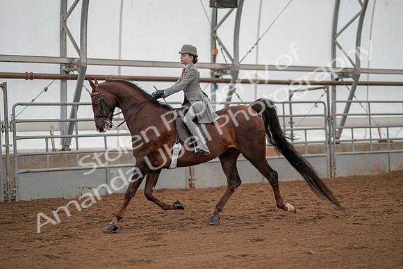 July 20, 2019 - 03629