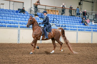 2020 - AB Morgan Horse - Sat, Sept 05 - 02620