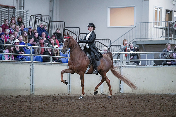 Spring Fling - Saturday - April 20, 2019  -  00497
