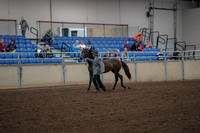 2019 Morgan Horse Show - Aug 30, 2019 - 25677
