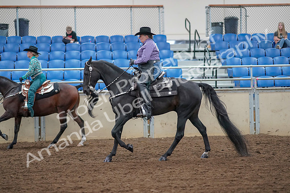 2019 Morgan Horse Show - Aug 30, 2019 - 16887