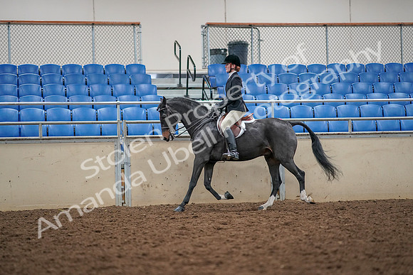 2019 Morgan Horse Show - Aug 30, 2019 - 23290