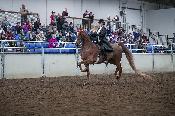Spring Fling - Saturday - April 20, 2019  -  00423