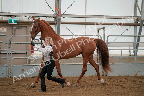 July 19, 2019 - 1358