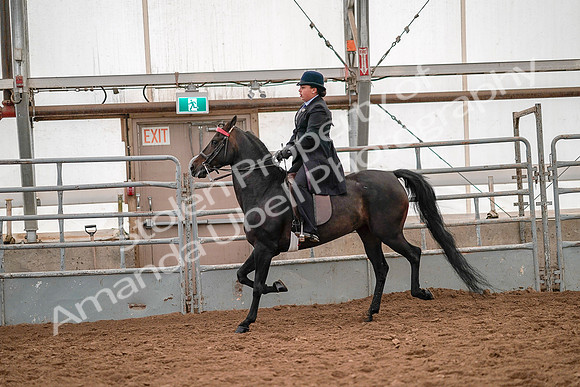 July 19, 2019 - 14104