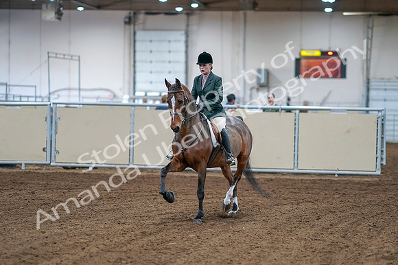2020 - AB Morgan Horse - Fri, Sept 04 - 01478