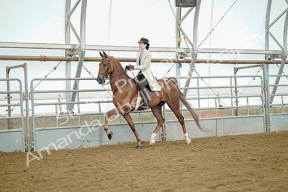 July 20, 2019 - 07835