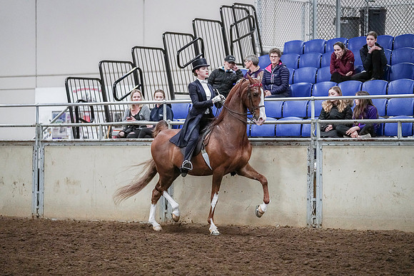 Spring Fling - Saturday - April 20, 2019  -  04384