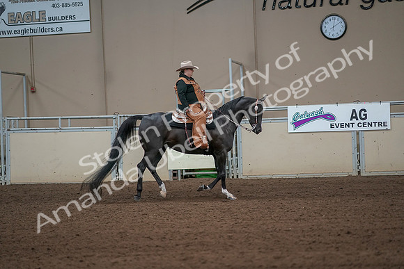 2019 Morgan Horse Show - Aug 31, 2019 - 06167