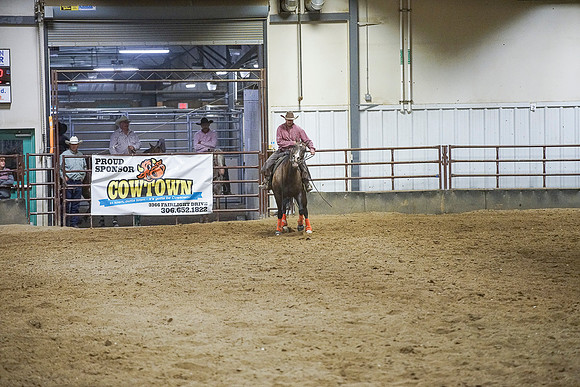 DSC03074