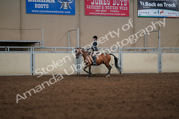 2019 Morgan Horse Show - Aug 30, 2019 - 23266