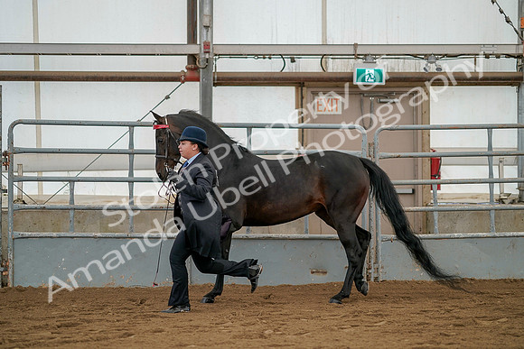 July 19, 2019 - 2079