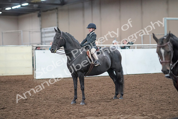 2019 Morgan Horse Show - Aug 31, 2019 - 19727