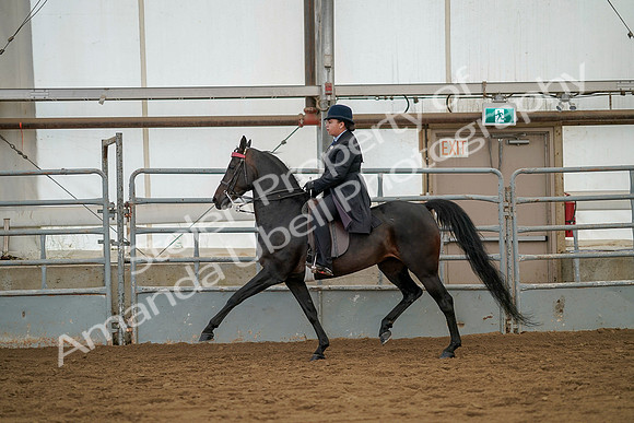July 20, 2019 - 04362